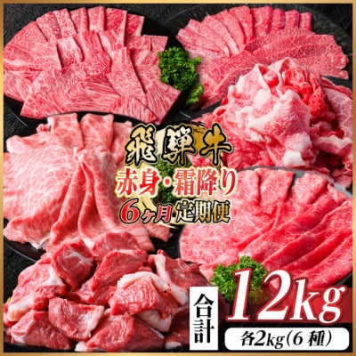 【毎月定期便】飛騨牛　赤身・霜降り定期便　計12kg カルビ・ロース(焼肉・BBQ用) すね肉全6回【配送不可地域：離島】【4075091】