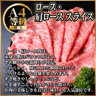 飛騨牛　厳選ロース・肩ローススライス　600g(300g×2) 黒毛和牛 すき焼き・しゃぶしゃぶ用【配送不可地域：離島】【1543804】
