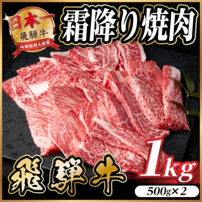飛騨牛 霜降り焼肉 約1kg(約500g×2)BBQ用 小分け【配送不可地域：離島】【1733140】