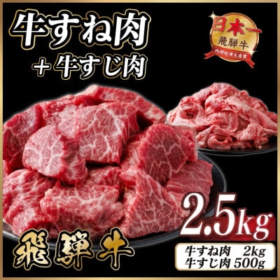 飛騨牛 牛すね肉・牛すじ肉煮込み料理セット 計約2.5kg【冷蔵便】訳あり A4〜A5等級 黒毛和牛【配送不可地域：離島】【1758627】