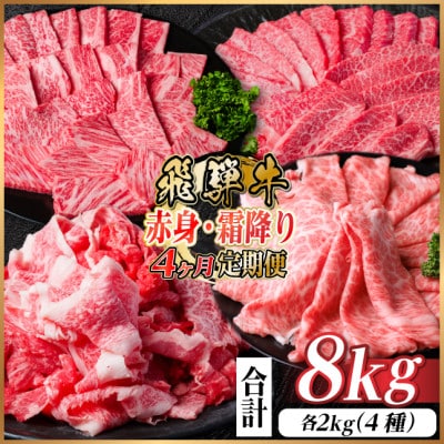 【毎月定期便】飛騨牛　赤身・霜降り定期便　計8kg  カルビ・赤身・ロース(焼肉・BBQ用)全4回【配送不可地域：離島】【4075145】