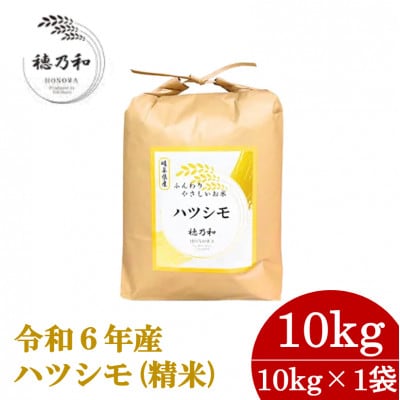 【先行予約】岐阜県産ハツシモ(精米)10kg【配送不可地域：離島】【1540844】