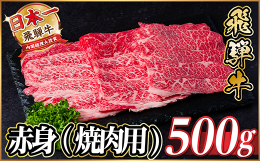 【12/20ご入金分まで年内発送】飛騨牛 厳選赤身(焼肉・BBQ用)500g　A4〜A5等級【配送不可地域：離島】【1543752】