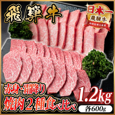 飛騨牛　赤身・霜降り焼肉2種食べ比べセット(ヒレ・三角バラカルビ)計1.2kg(各600g)タレ付き【配送不可地域：離島】【1746241】