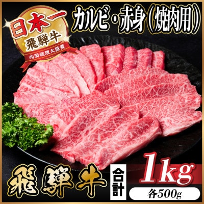 飛騨牛 カルビ・赤身(焼肉用)1kg(各500g)【配送不可地域：離島】【1543764】