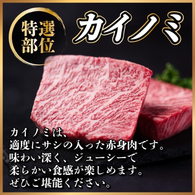 【毎月定期便】飛騨牛 少なめ定期便 計2.5kg【冷蔵便】全6回【配送不可地域：離島】【4055503】