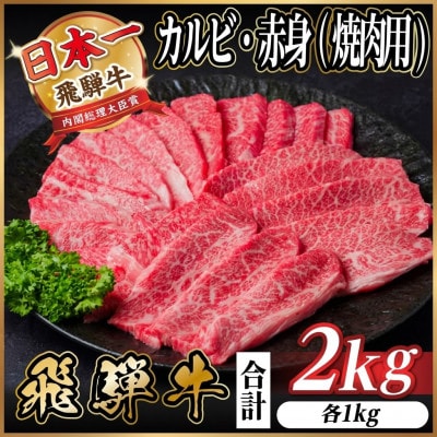 飛騨牛 厳選カルビ・赤身(焼肉・BBQ用) 2kg(各500g×2パック) 黒毛和牛 小分け【配送不可地域：離島】【1543782】