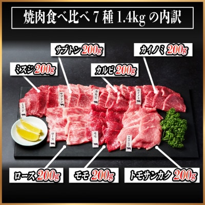 飛騨牛　焼肉厳選7種食べ比べセット　約1.4kg(味つけ用タレ・つけタレ付き)【配送不可地域：離島】【1532682】