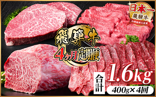 【毎月定期便】飛騨牛 赤身定期便 計1.6kg 焼肉 BBQ すき焼き しゃぶしゃぶ ブロック全4回【配送不可地域：離島】【4072648】