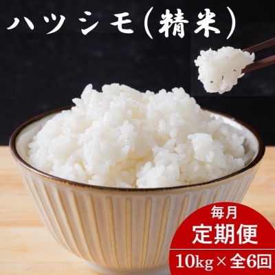 【毎月定期便】岐阜県産ハツシモ(精米) 10kg全6回【配送不可地域：離島】【4076387】