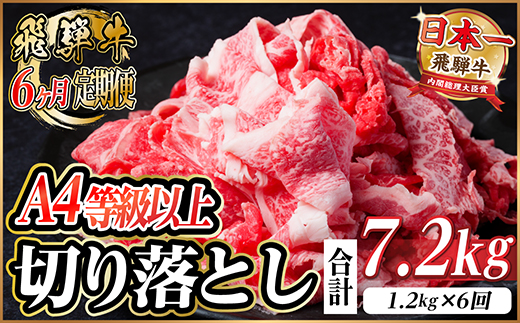 【毎月定期便】飛騨牛 厳選切り落とし 計7.2kg全6回　小分け【配送不可地域：離島】【4055983】