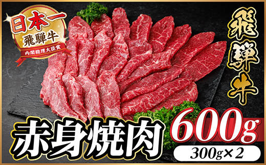 飛騨牛 赤身(焼肉・BBQ用) 約600g【冷蔵便】A4〜A5等級 黒毛和牛【配送不可地域：離島】【1646152】