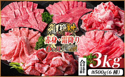 【毎月定期便】飛騨牛　赤身・霜降り定期便　計3kg カルビ・ロース(焼肉・BBQ用) すね肉全6回【配送不可地域：離島】【4075089】