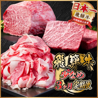 【毎月定期便】飛騨牛 少なめ定期便 計1kg【冷蔵便】全3回【配送不可地域：離島】【4055497】