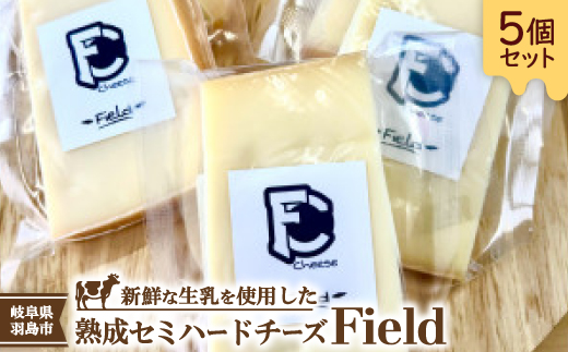セミハードチーズ　Field(フィールド)個包装5個セット【配送不可地域：離島】【1663753】