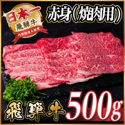 飛騨牛 厳選赤身(焼肉・BBQ用)500g　A4〜A5等級　黒毛和牛　小分け【配送不可地域：離島】【1543752】