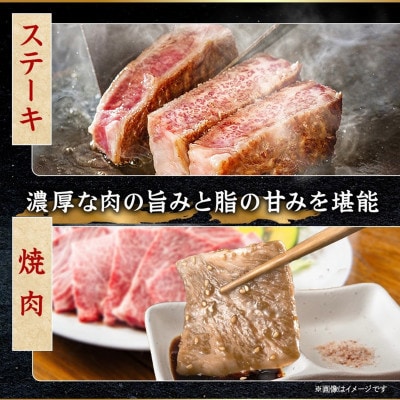 【発送月固定定期便】飛騨牛 赤身定期便 計1.5kg 冷蔵 A4〜A5ランク全4回【配送不可地域：離島】【4088111】