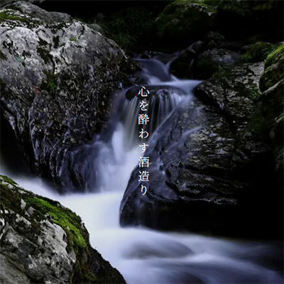 蜈臥正 邏皮アウ蜷滄ク縲1800mlテ1譛ャ縲1531591縲