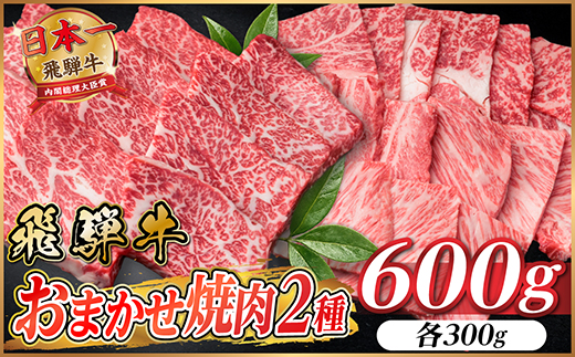 飛騨牛　おまかせ焼肉2種セット約600g(各約300g)訳あり　BBQ　上カルビ・ロースなど【配送不可地域：離島】【1738939】