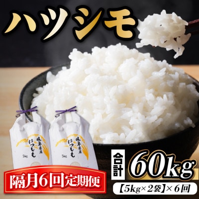 【2ヵ月毎定期便】岐阜県産ハツシモ　10kg(精米5kg×2袋)全6回【4059936】