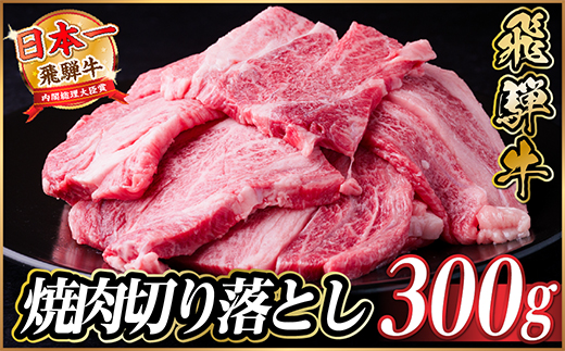 飛騨牛 焼肉切り落とし 約300g タレ付き 訳あり【冷蔵便】カルビ・ロースなど【配送不可地域：離島】【1721947】