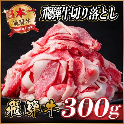 飛騨牛　切り落とし　約300g【配送不可地域：離島】【1531495】