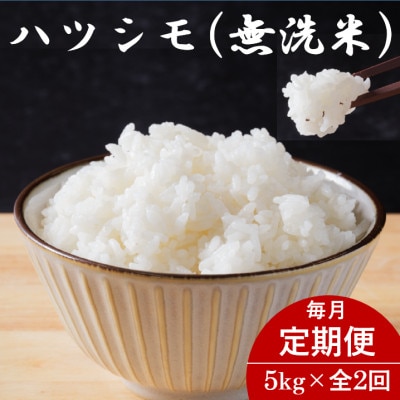 【毎月定期便】岐阜県産ハツシモ(無洗米) 5kg全2回【配送不可地域：離島】【4076366】