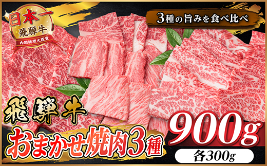 飛騨牛　おまかせ焼肉3種セット約900g(各約300g)訳あり　BBQ　上カルビ・ロースなど【配送不可地域：離島】【1739037】