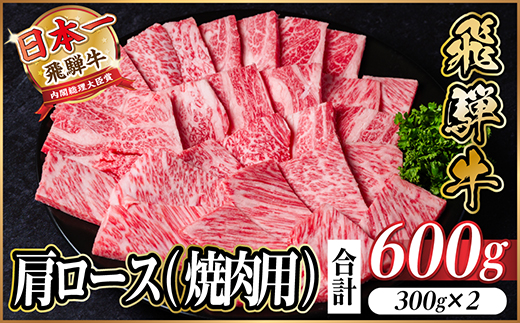 飛騨牛 厳選肩ロース(焼肉・BBQ用)　600g(300g×2)　黒毛和牛　小分け【配送不可地域：離島】【1674158】