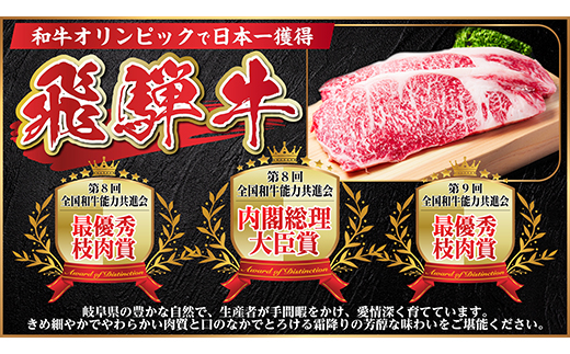 飛騨牛 厳選カルビ(焼肉・BBQ用) 600g(300g×2) 黒毛和牛 小分け A4〜A5等級【配送不可地域：離島】【1543783】