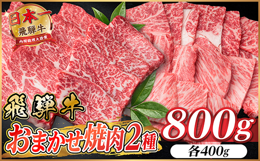 飛騨牛　おまかせ焼肉2種セット約800g(各約400g) 訳あり　BBQ　上カルビ・ロースなど【配送不可地域：離島】【1738976】