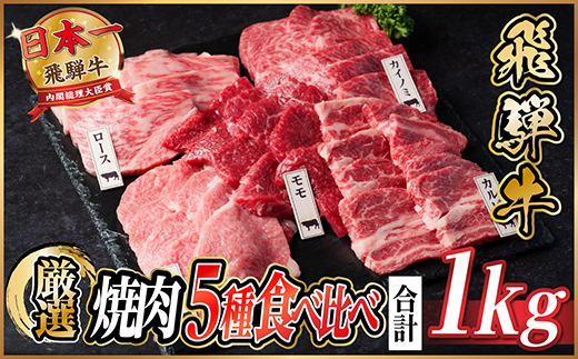 飛騨牛　焼肉厳選5種食べ比べセット(カルビ・トモサンカク・モモ・ロース・カイノミ)約1kg　タレ付き【配送不可地域：離島】【1532671】