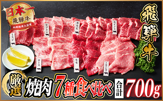 飛騨牛　焼肉7種食べ比べ(カルビ・トモサンカク・モモ・ロース・カイノミ・ミスジ・ザブトン)約700g【配送不可地域：離島】【1532679】
