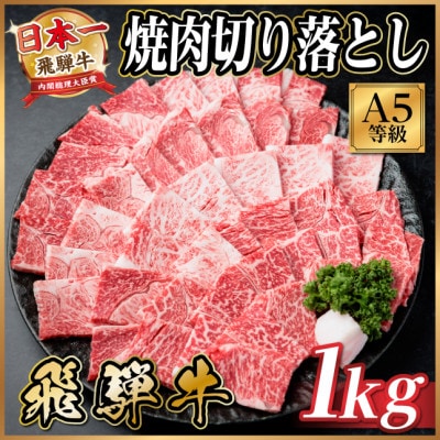 飛騨牛A4~A5等級　焼肉切り落とし　1kg　黒毛和牛(焼肉・BBQ用)【配送不可地域：離島】【1754586】
