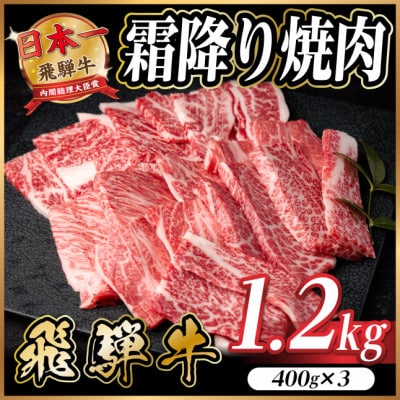 飛騨牛 霜降り焼肉 約1.2kg(約400g×3)BBQ用 小分け【配送不可地域：離島】【1733143】
