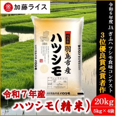令和7年産 岐阜県羽島市産ハツシモ 精米20kg(5kg×4袋)【1669151】