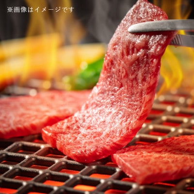 飛騨牛5等級 もも焼肉用400g　FTA197【配送不可地域：離島】【1578225】