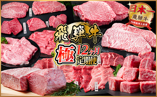 【毎月定期便】飛騨牛 極定期便 計12.9kg【冷蔵便】A4〜A5等級 シャトーブリアンほか全12回【配送不可地域：離島】【4055987】