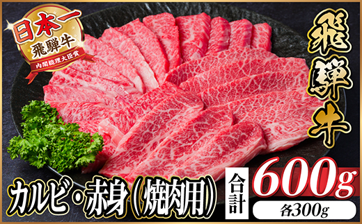 飛騨牛 厳選カルビ・赤身(焼肉・BBQ用)600g　小分け　黒毛和牛　A4〜A5等級【配送不可地域：離島】【1543762】