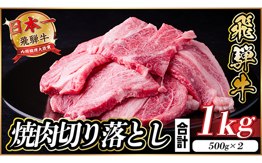 飛騨牛 焼肉切り落とし 約1kg(約500g×2)タレ付き 訳あり【冷蔵便】カルビ・ロースなど【配送不可地域：離島】【1543362】