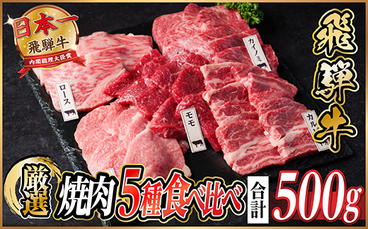 飛騨牛 焼肉厳選5種食べ比べセット(カルビ・トモサンカク・モモ・ロース・カイノミ)約500gタレ付き【配送不可地域：離島】【1532665】
