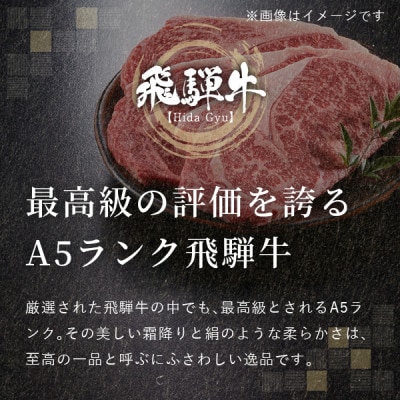 飛騨牛5等級 ももすき焼き用1.5kg(750g×2P)　FTA272【配送不可地域：離島】【1578261】