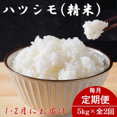【発送月固定定期便】【先行予約】生産者応援!岐阜県産ハツシモ(精米)5kg【1・2月発送】全2回【配送不可地域：離島】【4073305】