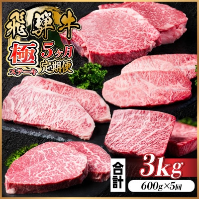 【毎月定期便】飛騨牛 極ステーキ定期便　計約3kg【冷蔵便】全5回【配送不可地域：離島】【4056916】