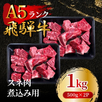 飛騨牛5等級 スネ肉煮込み用1kg(500g×2P)　FTA282【配送不可地域：離島】【1578295】