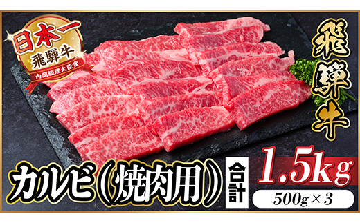 【12/20ご入金分まで年内発送】飛騨牛 厳選カルビ(焼肉・BBQ用) 1.5kg(500g×3)【配送不可地域：離島】【1543785】