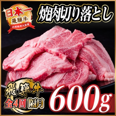 【2ヵ月毎定期便】飛騨牛 焼肉切り落とし 約600g(約300g×2)タレ付き 訳あり全4回【配送不可地域：離島】【4084210】