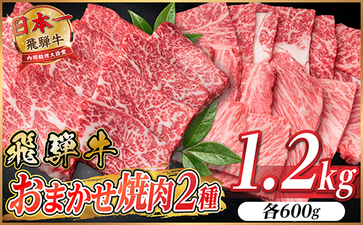 飛騨牛　おまかせ焼肉2種セット約1.2kg(各約600g) 訳あり　BBQ　上カルビ・ロースなど【配送不可地域：離島】【1738981】