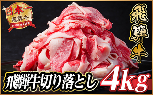 飛騨牛　切り落とし　約4kg(約500g×8)【冷蔵便】A4〜A5等級 黒毛和牛 小分け【配送不可地域：離島】【1531527】