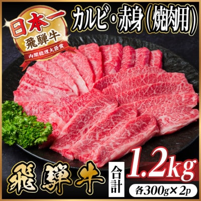 飛騨牛　厳選カルビ・赤身(焼肉・BBQ用)　計1.2kg(各600g)　黒毛和牛　小分け【配送不可地域：離島】【1667421】